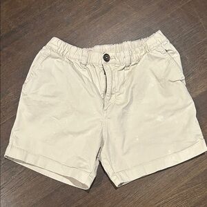 Chubbies Light Blue Casual Shorts